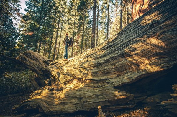 What are the best practices for exploring the historic shipyards of Glasgow?